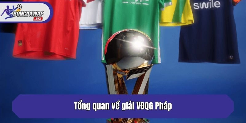 Tổng quan về giải VĐQG Pháp